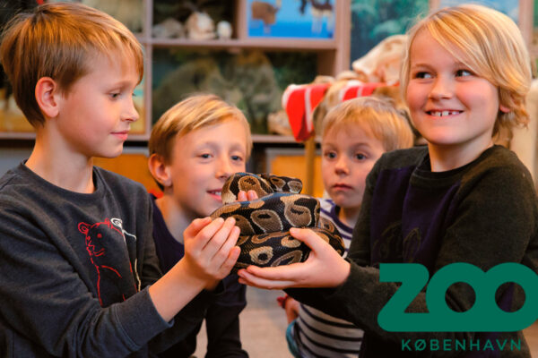 Køb København Zoo - Årskort Barn - Kultur og Fritid - GO DREAM online billigt tilbud rabat legetøj